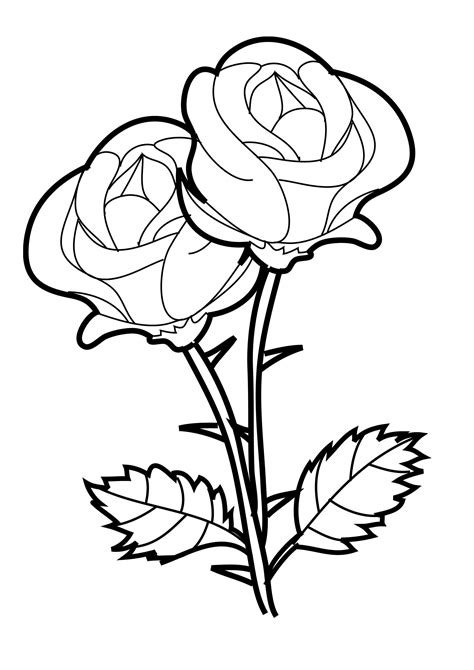 Printable Roses To Color